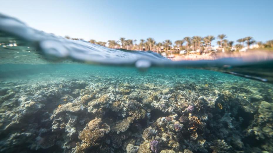 Four Seasons Resort Sharm El Sheikh Private Residential Villa & Chalet - Egypt Экстерьер фото