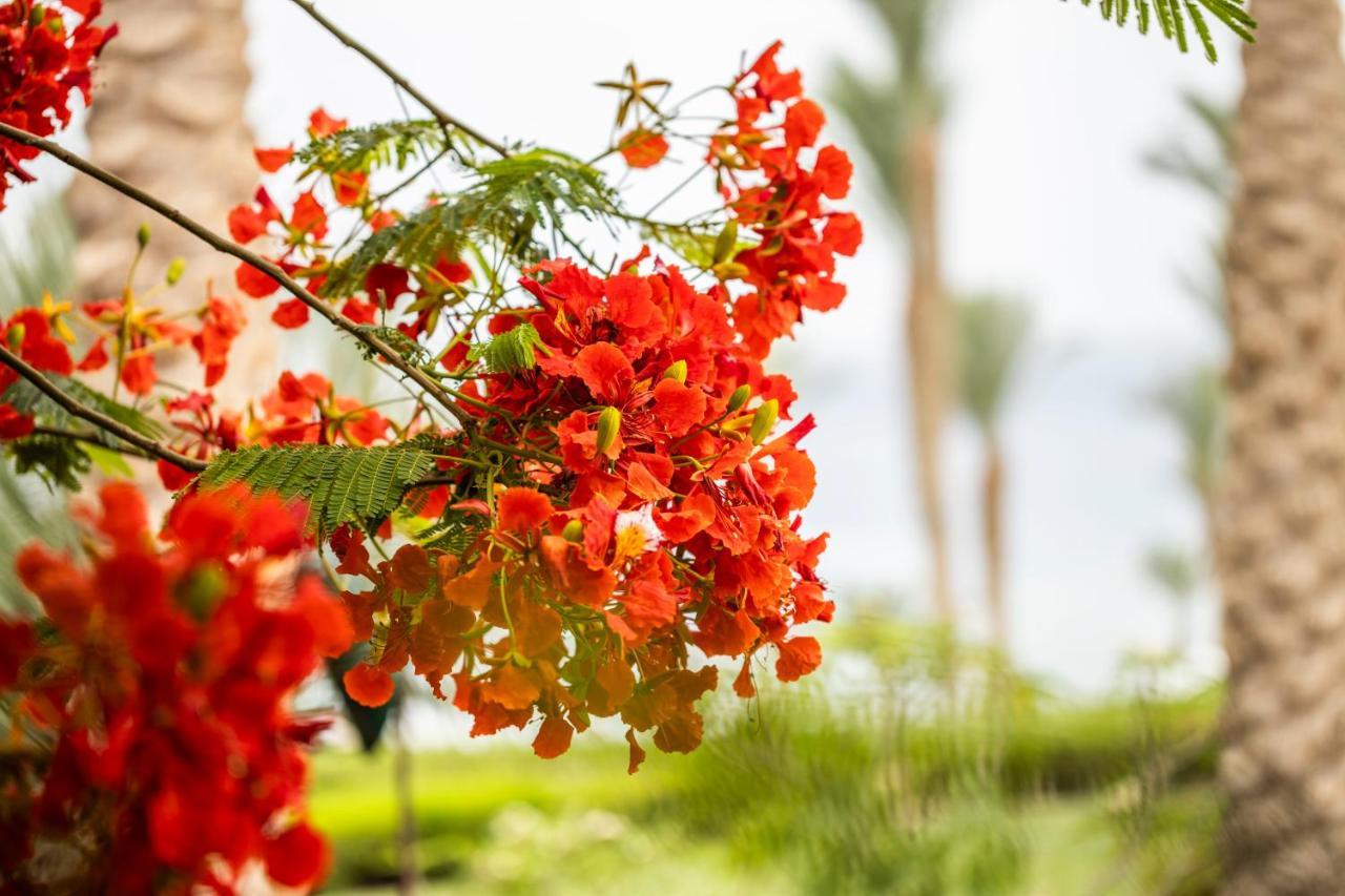 Four Seasons Resort Sharm El Sheikh Private Residential Villa & Chalet - Egypt Экстерьер фото